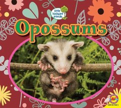 Opossums - Kissock, Heather