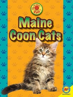 Maine Coon Cats - Furstinger, Nancy
