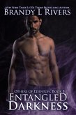 Entangled Darkness (Others of Edenton, #14) (eBook, ePUB) Entangled Darkness (Others of Edenton, #14) (eBook, ePUB)