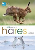 RSPB Spotlight Hares (eBook, ePUB)