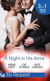 A Night In His Arms (eBook, ePUB)