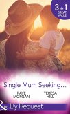 Single Mum Seeking... (eBook, ePUB)