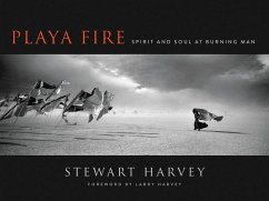 Cover Playa Fire (eBook, ePUB)