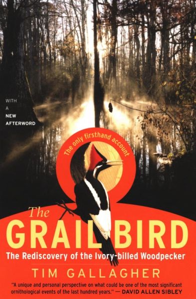 The Grail Bird (eBook, ePUB)