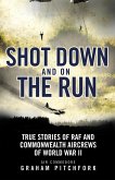 Shot Down and on the Run (eBook, ePUB)
