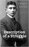 Description of a Struggle (eBook, ePUB)