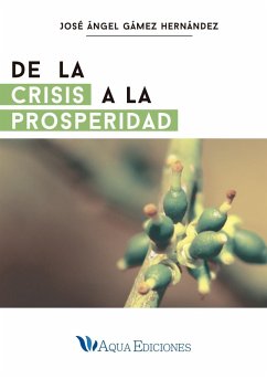 Cover De la crisis a la prosperidad (eBook, ePUB)