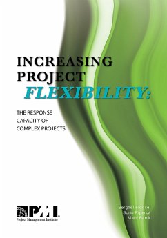 Cover Increasing Project Flexibility (eBook, PDF)