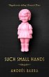 Such Small Hands (eBook, ePUB) - Bild 1