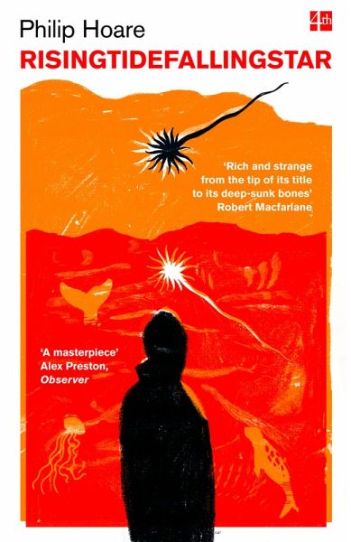 RISINGTIDEFALLINGSTAR (eBook, ePUB)