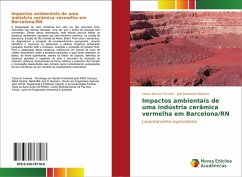 Impactos ambientais de uma indústria cerâmica vermelha em Barcelona/RN - Ferreira, Cesar Barros;Bezerra, Joel M.