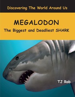 Megalodon - Rob, Tj