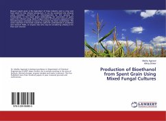 Production of Bioethanol from Spent Grain Using Mixed Fungal Cultures