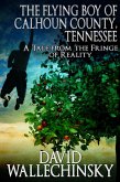 The Flying Boy of Calhoun County, Tennessee: A Tale from the Fringe of Reality (eBook, ePUB) The Flying Boy of Calhoun County, Tennessee: A Tale from the Fringe of Reality (eBook, ePUB)