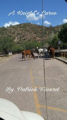 Cover A Knight's Curse (eBook, ePUB)