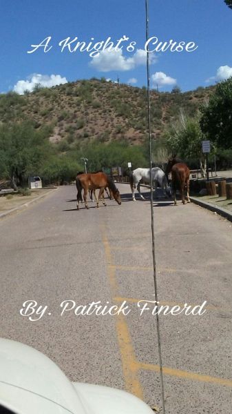 A Knight's Curse (eBook, ePUB)