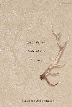 Dust Blown Side of the Journey (eBook, PDF) - Schonmaier, Eleonore