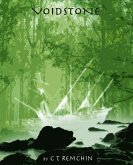 Voidstone (eBook, ePUB)