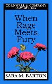 When Rage Meets Fury (A Cornwall & Company Mystery, #4) (eBook, ePUB)