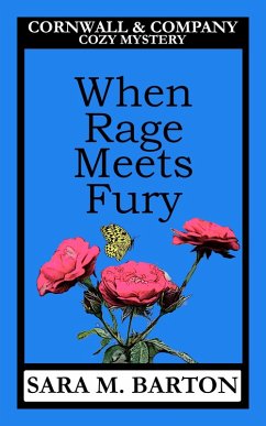 Cover When Rage Meets Fury (A Cornwall & Company Mystery, #4) (eBook, ePUB)