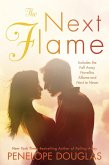 The Next Flame (eBook, ePUB)