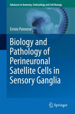 Biology and Pathology of Perineuronal Satellite Cells in Sensory Ganglia - Pannese, Ennio