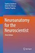 Neuroanatomy for the Neuroscientist - Bild 1