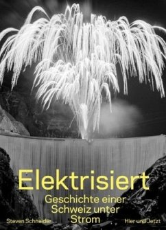 Elektrisiert - Schneider, Steven