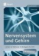 Nervensystem und Gehirn - Bild 1