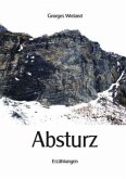 Absturz