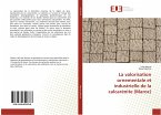 La valorisation ornementale et industrielle de la calcarénite (Maroc)