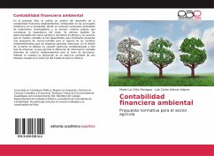 Contabilidad financiera ambiental