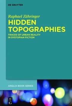 Hidden Topographies (eBook, ePUB) - Zähringer, Raphael