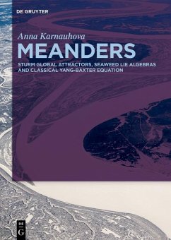 Cover Meanders (eBook, PDF)