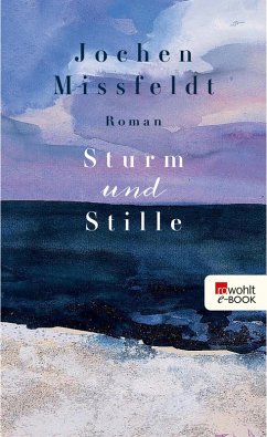 Sturm und Stille (eBook, ePUB) - Missfeldt, Jochen