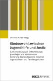 Kindeswohl zwischen Jugendhilfe und Justiz (eBook, PDF)