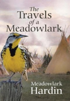 The Travels of a Meadowlark - Hardin, Meadowlark