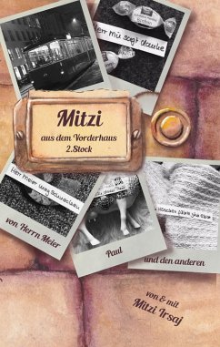 Mitzi aus dem Vorderhaus, 2. Stock (eBook, ePUB) - Irsaj, Mitzi