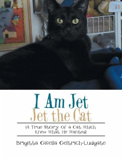 I Am Jet Jet the Cat