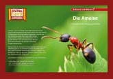 Kamishibai: Die Ameise Kamishibai: Die Ameise