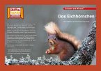 Kamishibai: Das Eichhörnchen