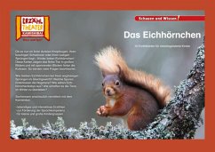 Kamishibai: Das Eichhörnchen - Janssen, Insa