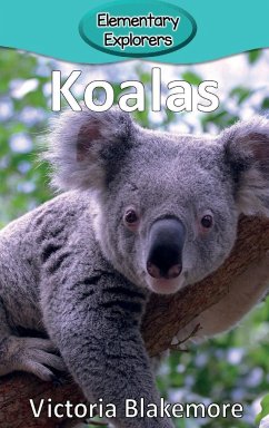 Koalas - Blakemore, Victoria