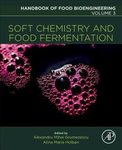 Soft Chemistry and Food Fermentation - Holban; Grumezescu