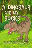 A Dinosaur Ate My Socks (eBook, ePUB)