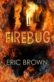 Fire Bug (eBook, ePUB)