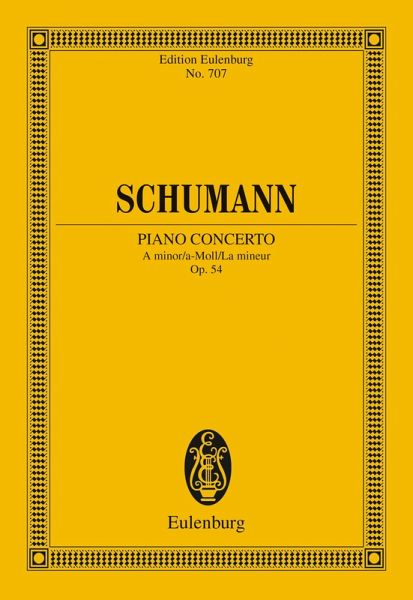 Piano Concerto A minor (eBook, PDF)
