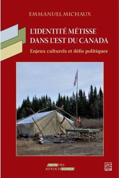 Cover L'identite metisse dans l'est du Canada: Enjeux culturels et defis politiques (eBook, PDF)