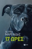 17 Hours (eBook, ePUB) 17 Hours (eBook, ePUB)
