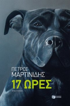 17 Hours (eBook, ePUB) Cover 17 Hours (eBook, ePUB)